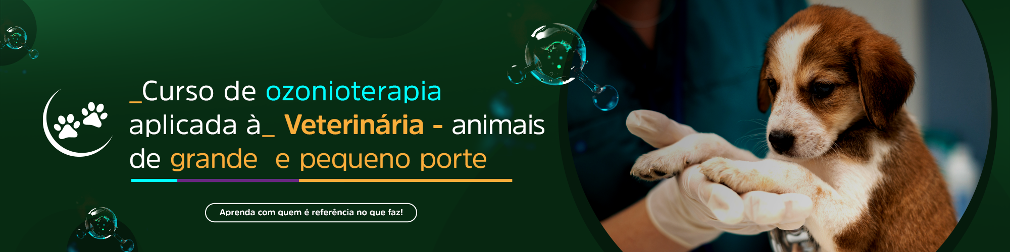 BANNER_Curso_Veterinria